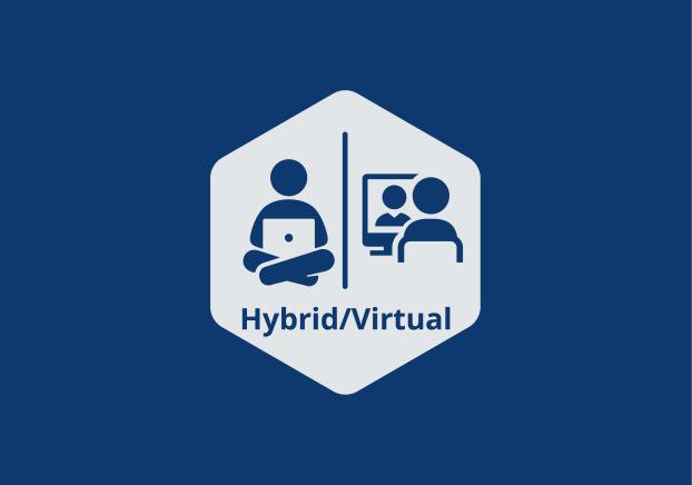 Hybrid/Virtual