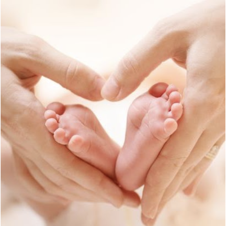 Baby feet in hands