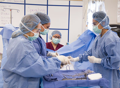 Students in Surgical Technology Program at GateWay Community College