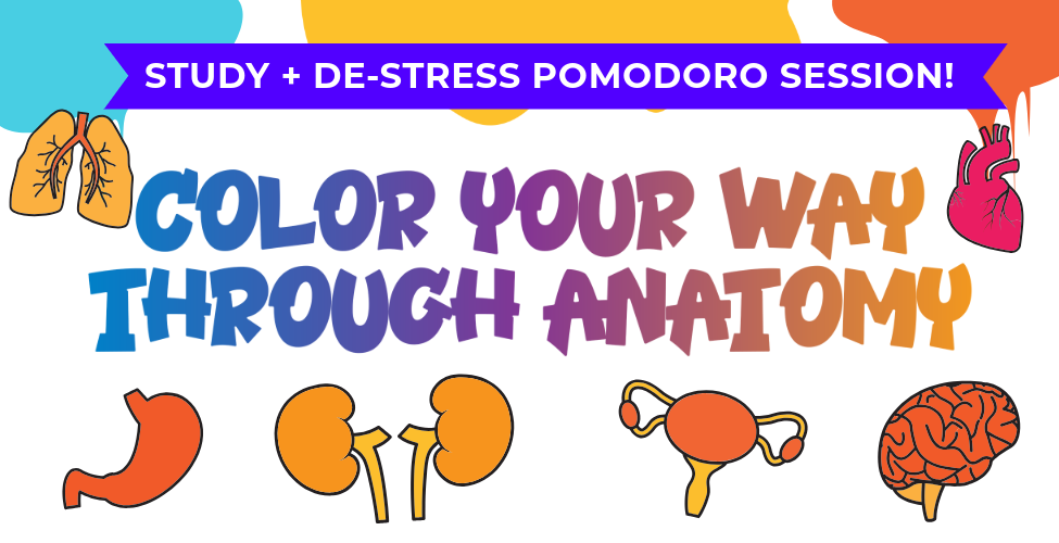 Colorful event banner with illustrated organs including lungs, heart, kidneys, uterus, and brain. Text reads: 'Study + De-Stress Pomodoro Session! Color Your Way Through Anatomy.