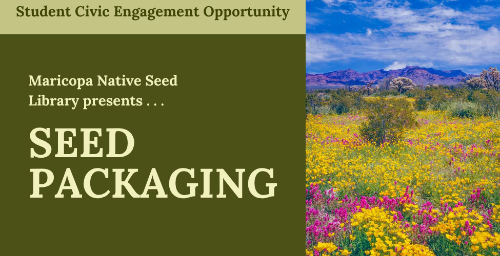 Lush wild flowers with the text "Seed Packaging"