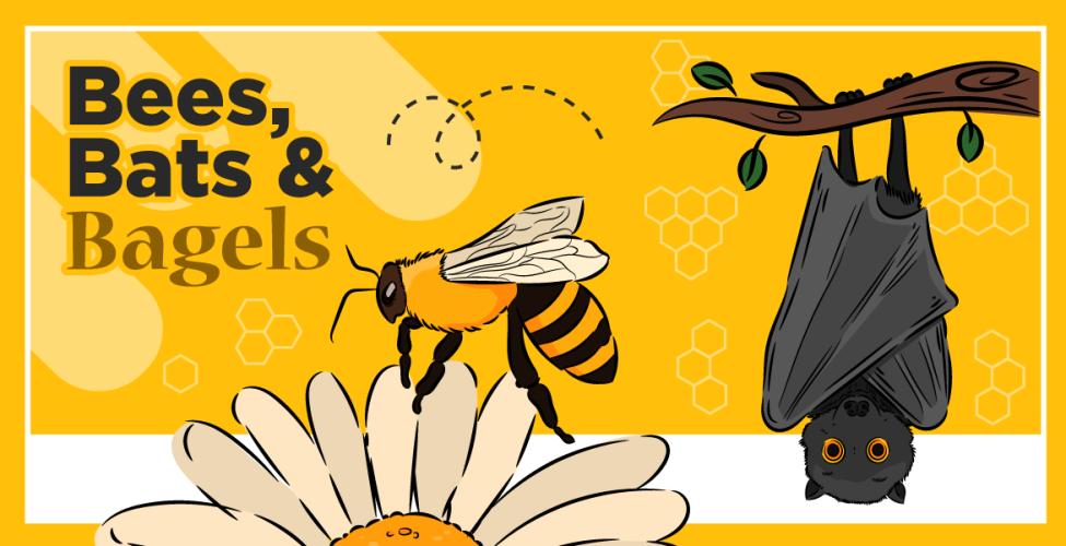 Bees, Bats & Bagels