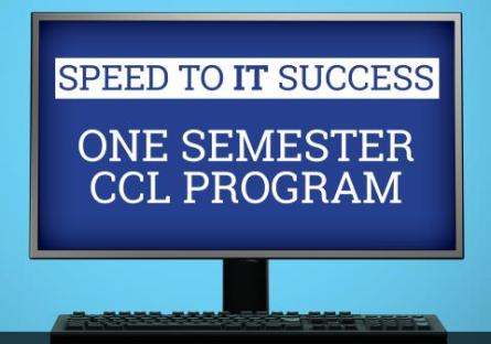 Speed to I.T. Success