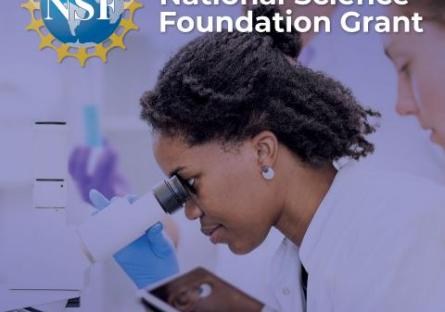 NSF Grant - GateWay