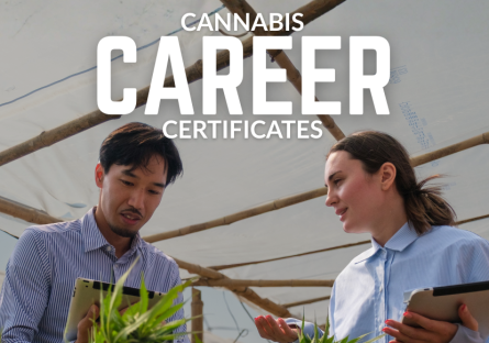 A man and a woman in a green house, with the text "Cannabis Career Certificates"