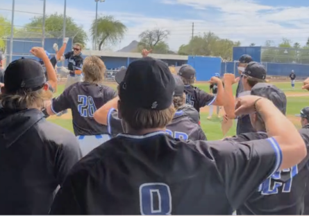 The team comes out of the dugout to celebrate a home run. 