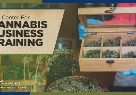  Center for Cannabis Business Training