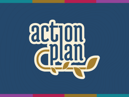 Action Plan